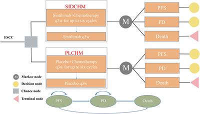 Cost-effectiveness analysis of sintilimab plus chemotherapy for advanced or metastatic esophageal squamous cell carcinoma